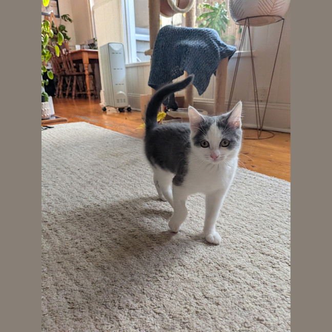 Photo of Charlotte