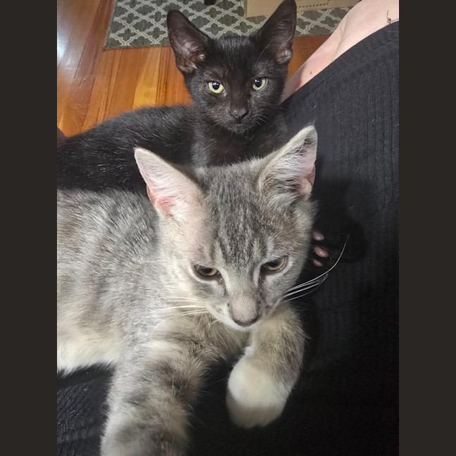 Photo of Emine & Earl