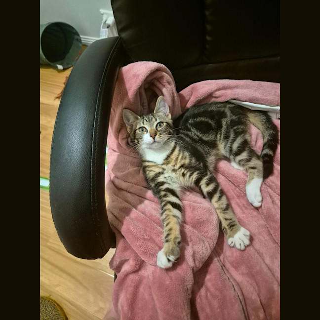 Photo of Max