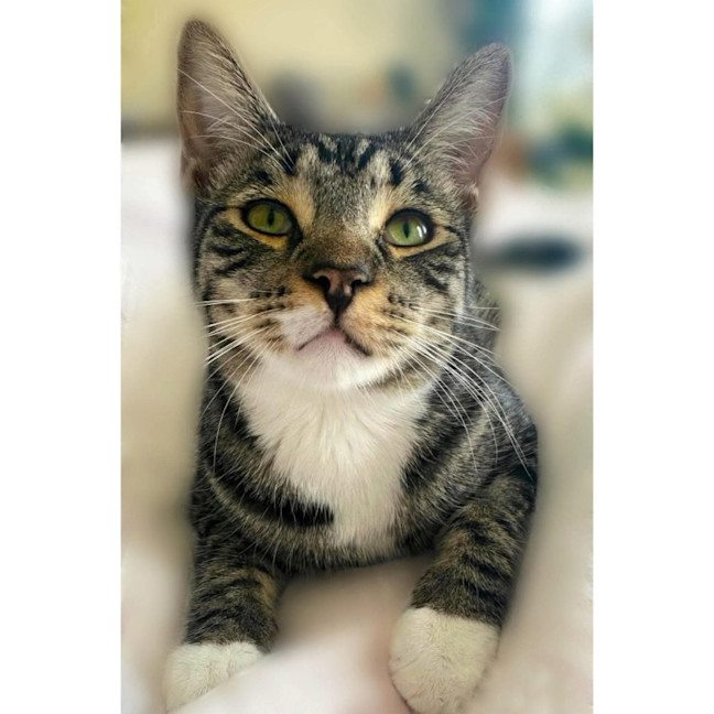 Photo of 9752   Mojo Jojo