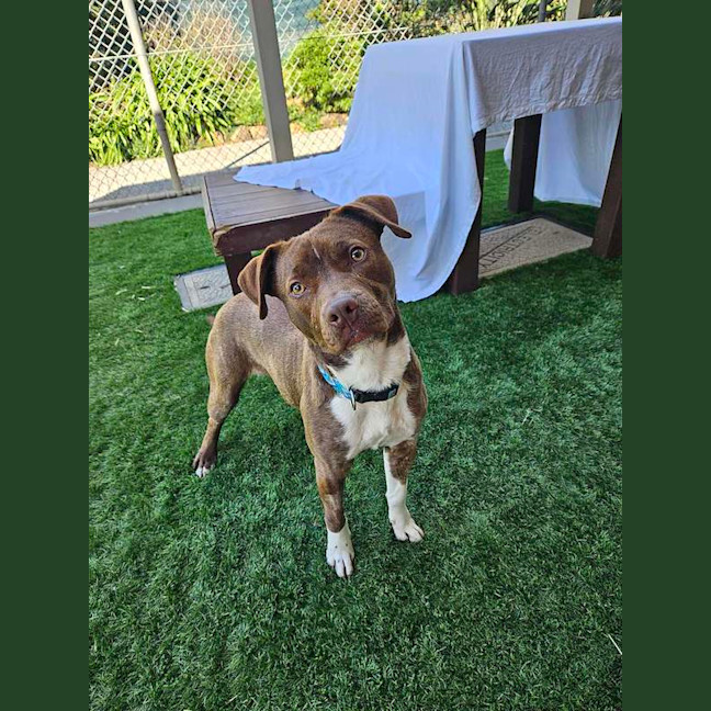 Photo of Tilly