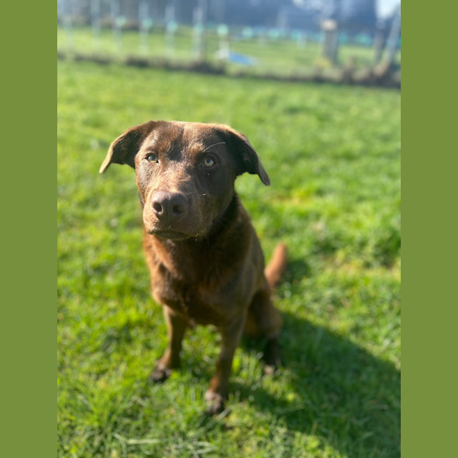 Photo of Max