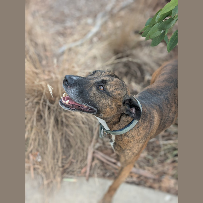 Photo of 🛶 Laszlo 5824 🛶