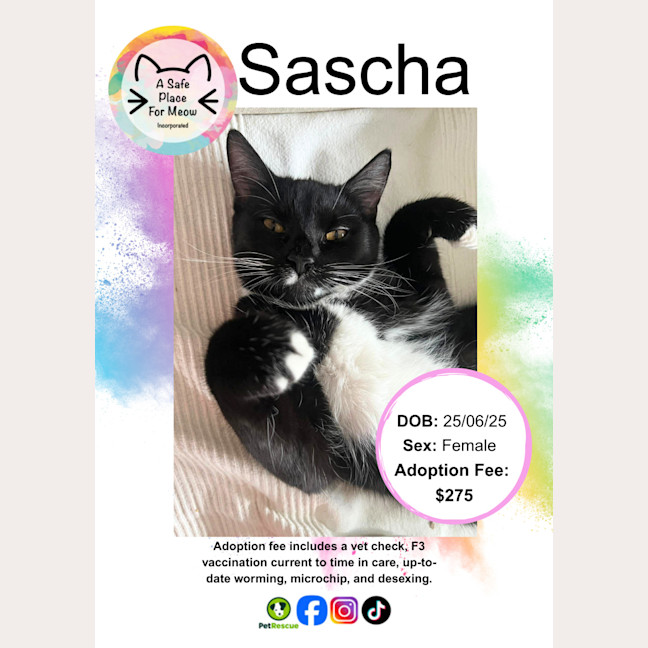 Photo of Sascha