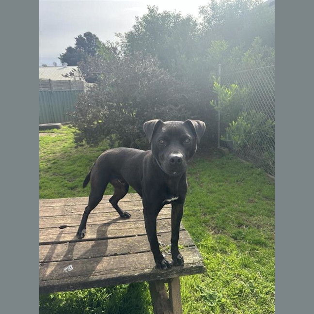 Photo of Neo