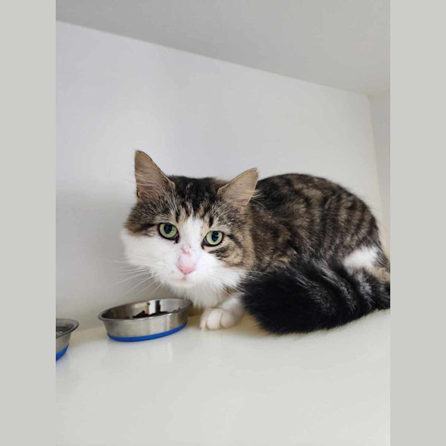 Photo of 🥪 Leonard 5595 🥪