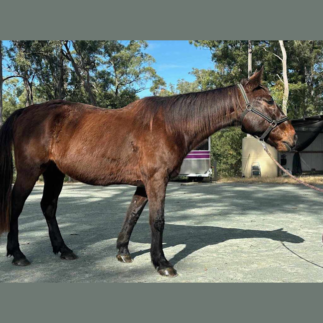 Photo of Hughie