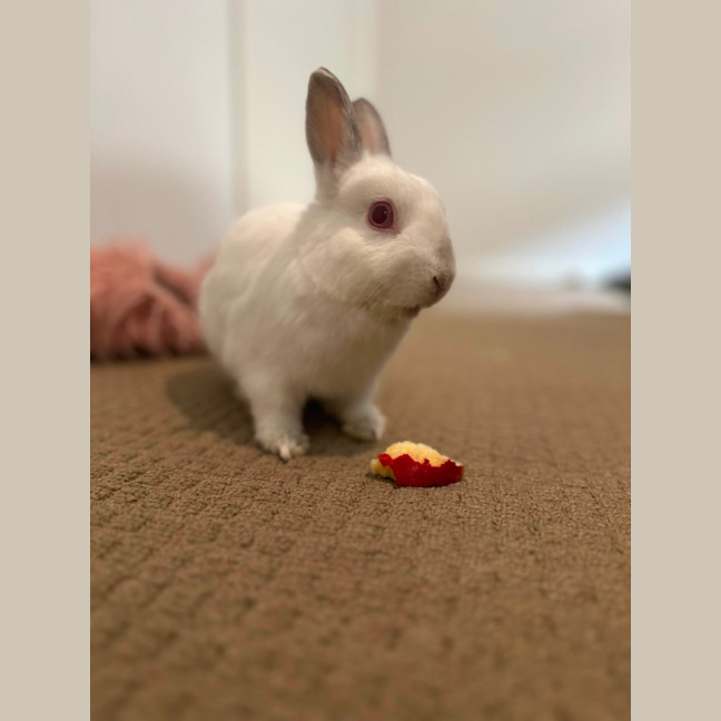 Photo of Calypso & Anna Bella 