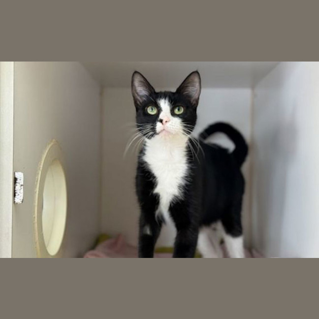 Photo of Rita