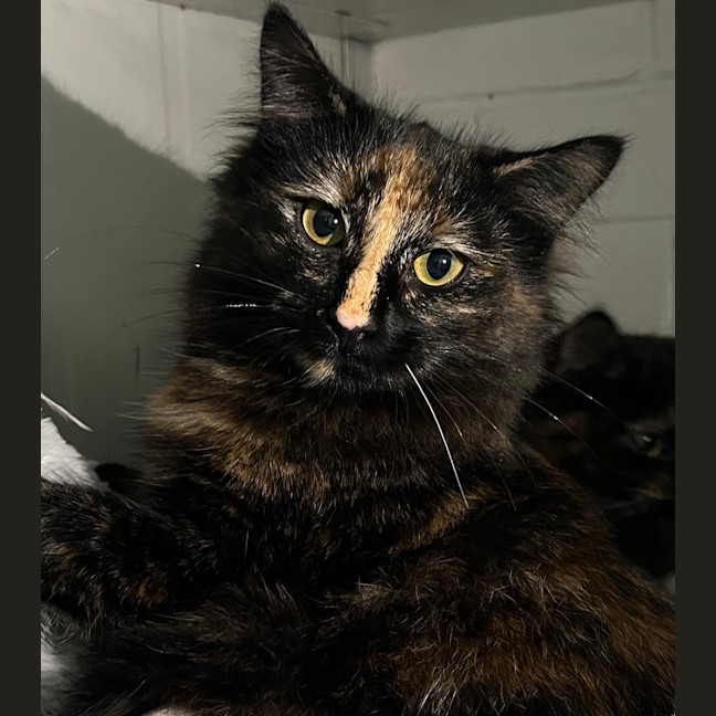 Photo of Winnie