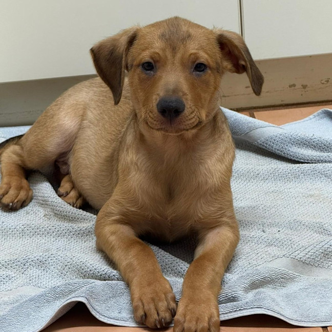 Photo of Ajax