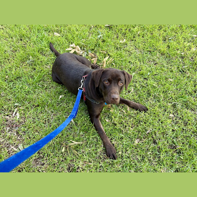 Photo of Ruby
