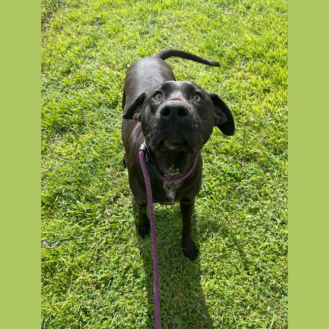 Photo of Phy (Phoebe Buffay)