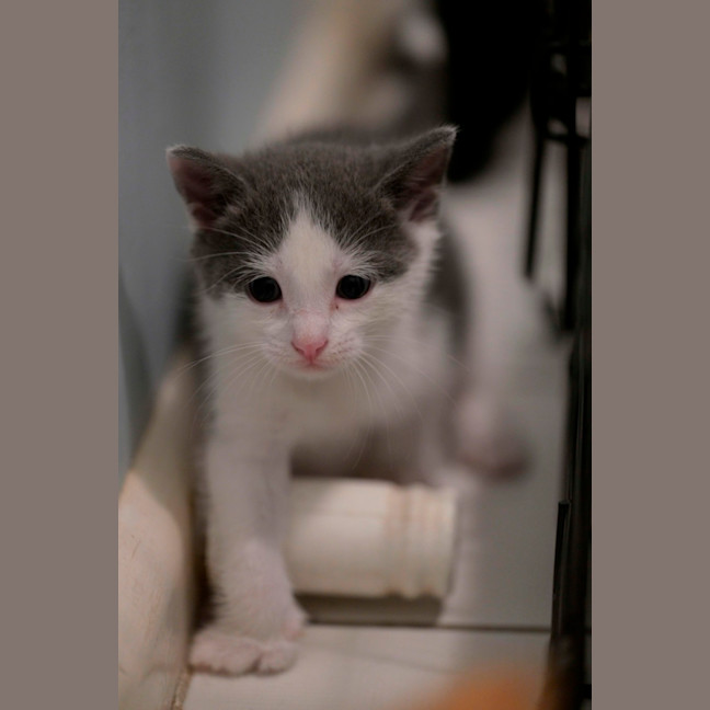 Photo of 💙 Concrete 🤍