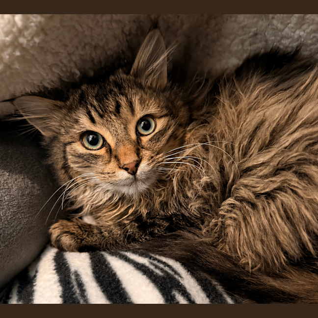 Photo of Zuko