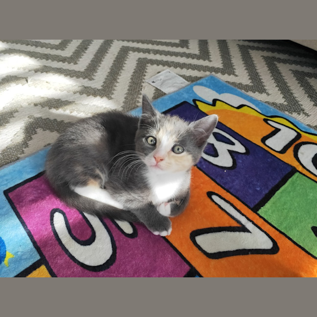 Photo of Laylah