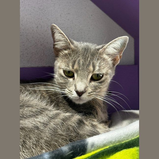 Photo of Evie