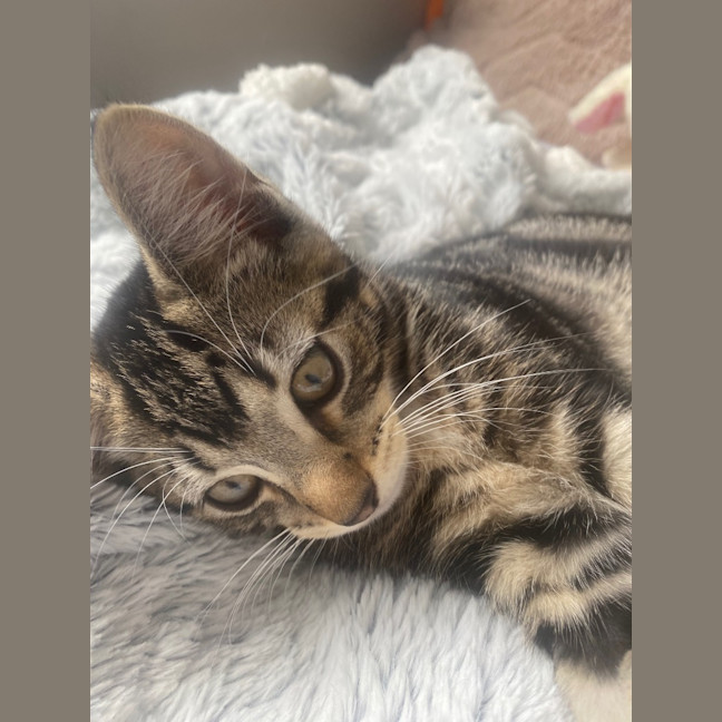 Photo of Tig Sanderson