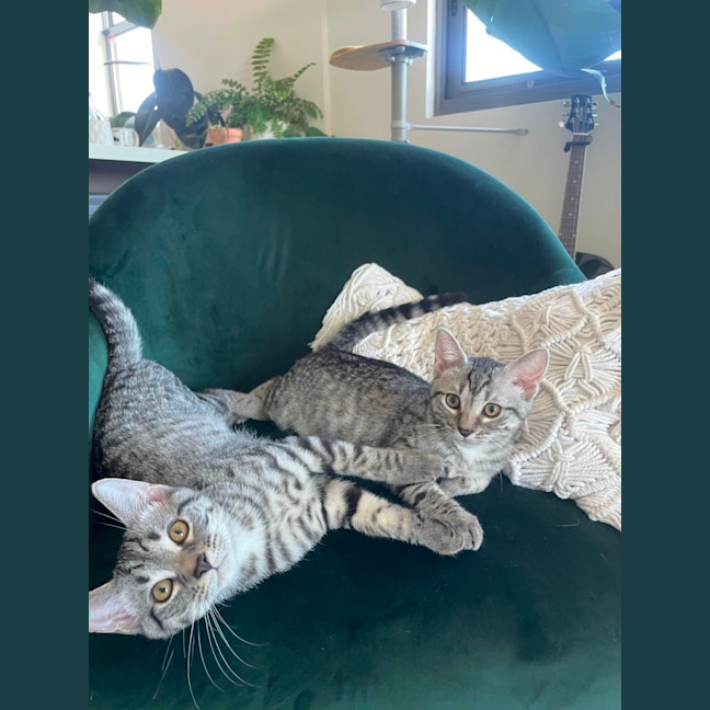 Photo of Pia And Pippin