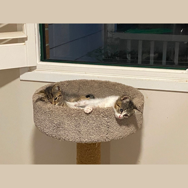 Photo of Ginny (Weasley) Of Harry Potter Fame