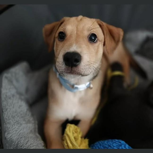 Photo of Candy