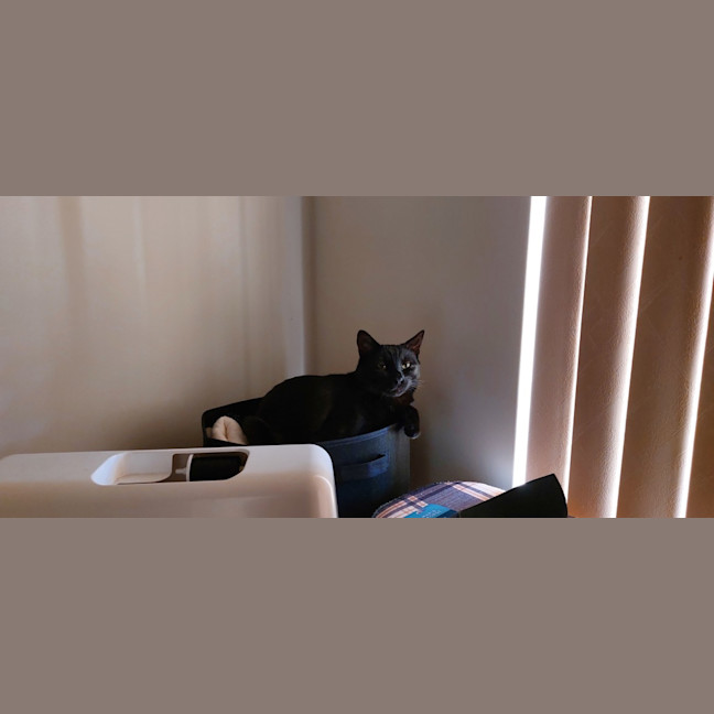 Photo of Salem