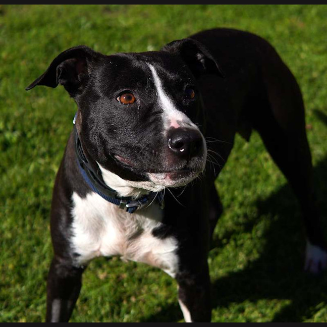 Photo of Lexi