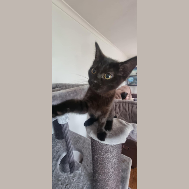 Photo of Duchess