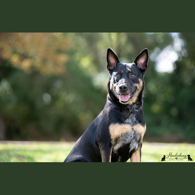Photo of Betsy