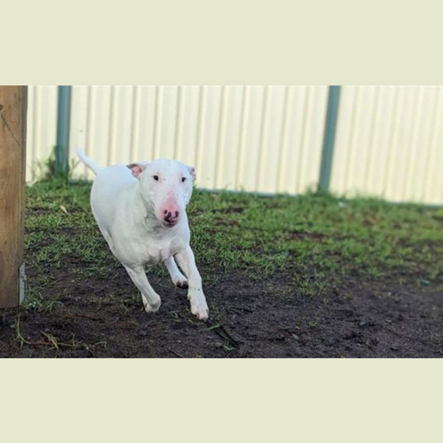 Photo of Addie