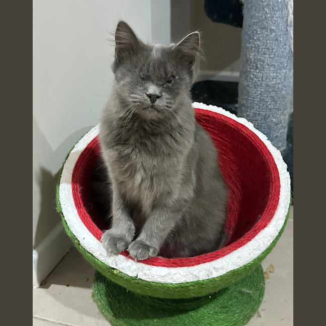Photo of Winky