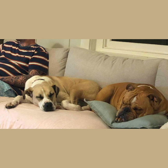 Photo of Hermione Granger