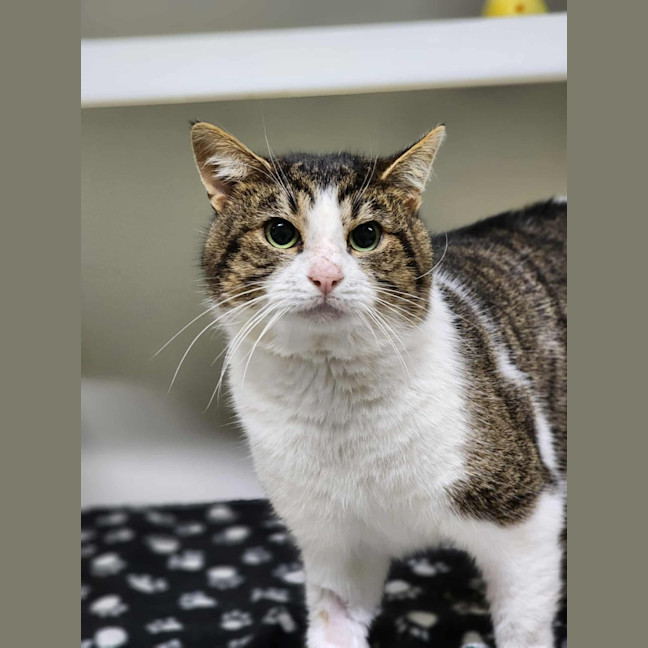 Photo of 🎣 Rafferty 6254 🎣