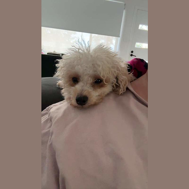 Photo of Dolly