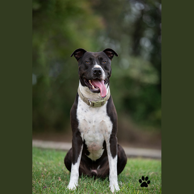 Photo of Tyson