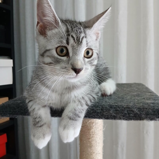 Photo of Parker