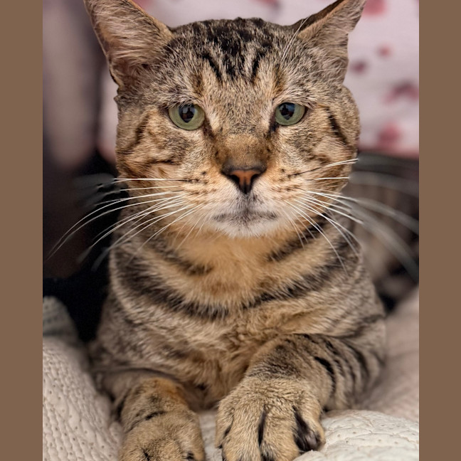 Photo of Bruce Wayne