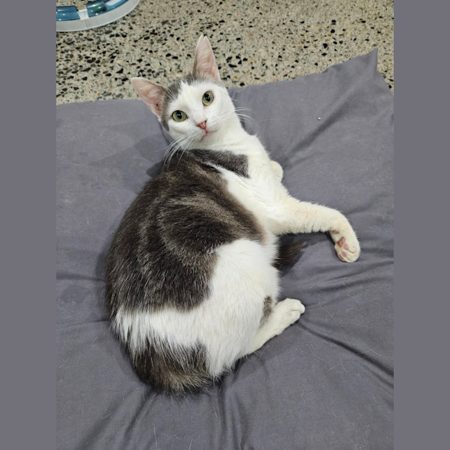Photo of Mabel