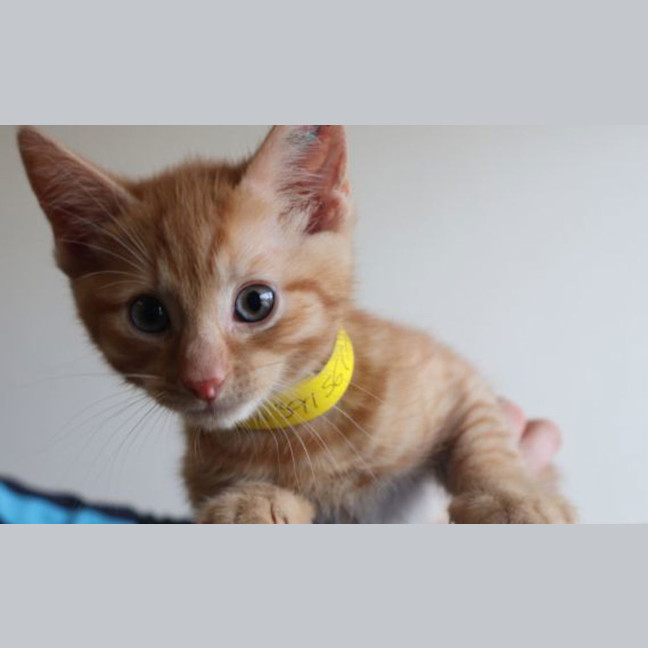 Photo of Stanley