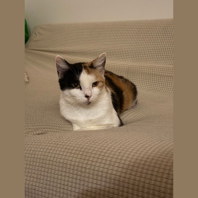 Photo of Margo (With Josie)