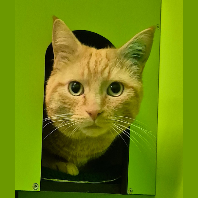 Photo of Philip J Fry 
