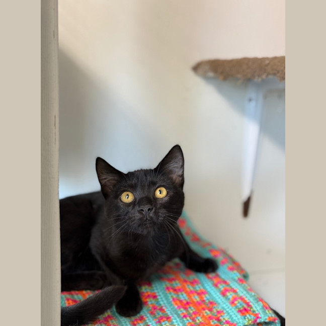 Photo of Eddie   Burnie