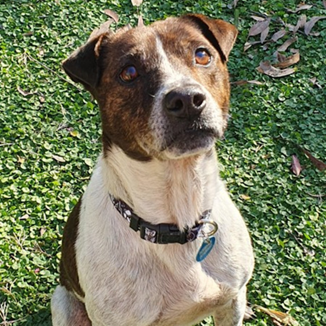 Photo of Pat In The Hat