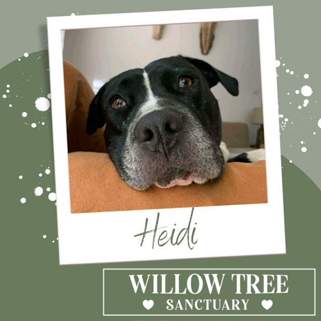 Photo of Heidi