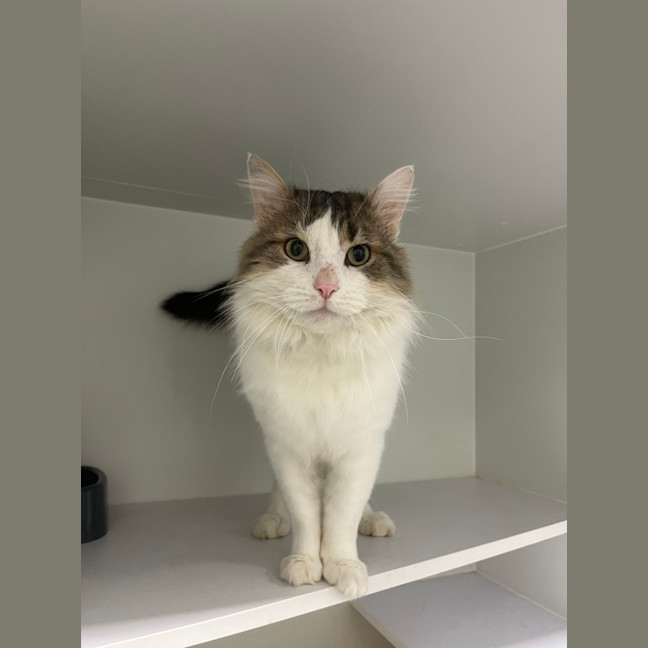 Photo of Reginald