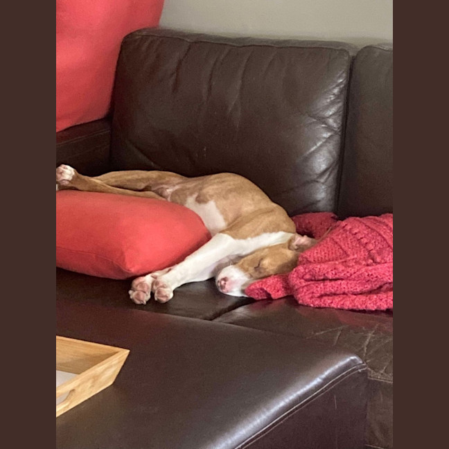 Photo of Brian Mannix