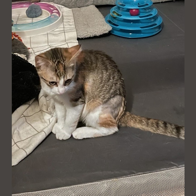 Photo of Lucyloo