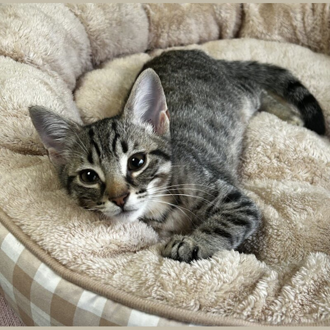 Photo of Bon Bon
