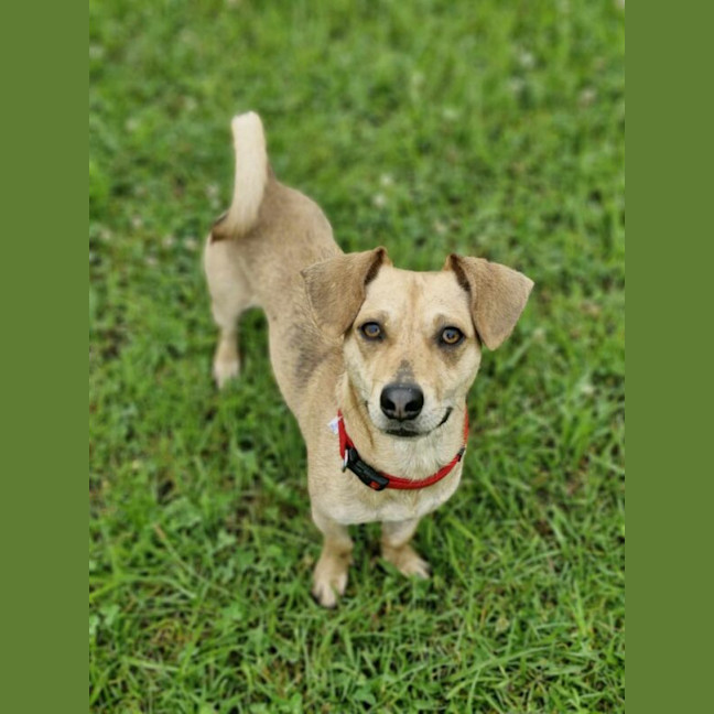 Photo of Nacho