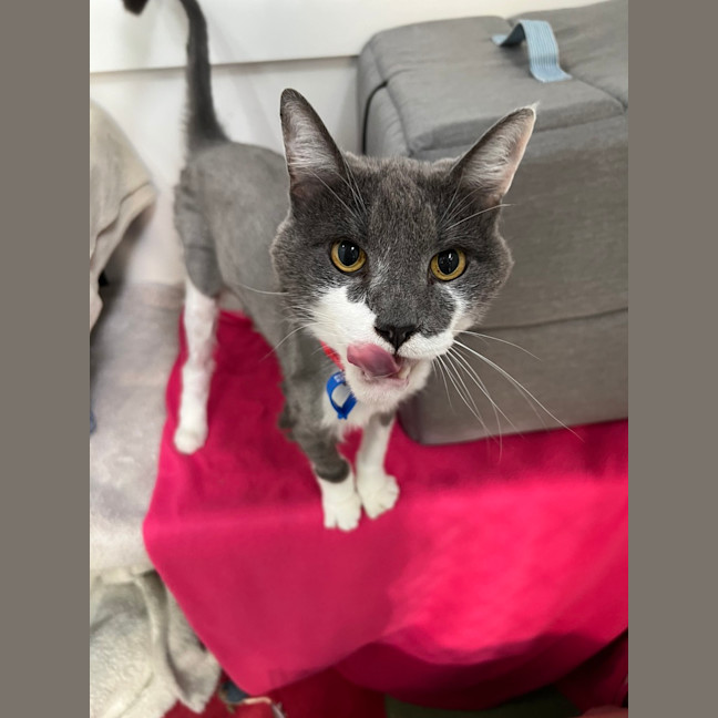 Photo of Principal Flutie 